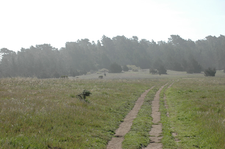 Upper Fiscalini Trail 022.jpg